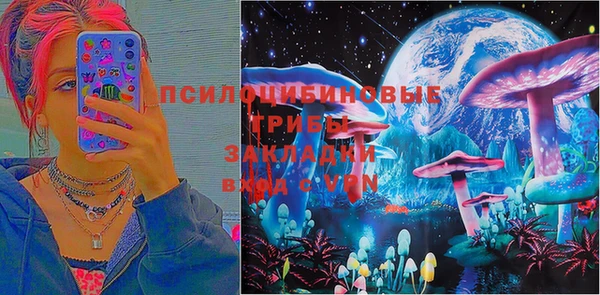 мяу мяу мука Алексин