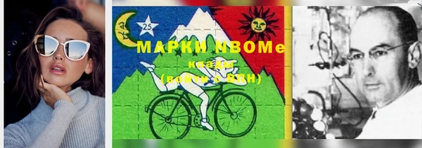 гидропоника Алзамай